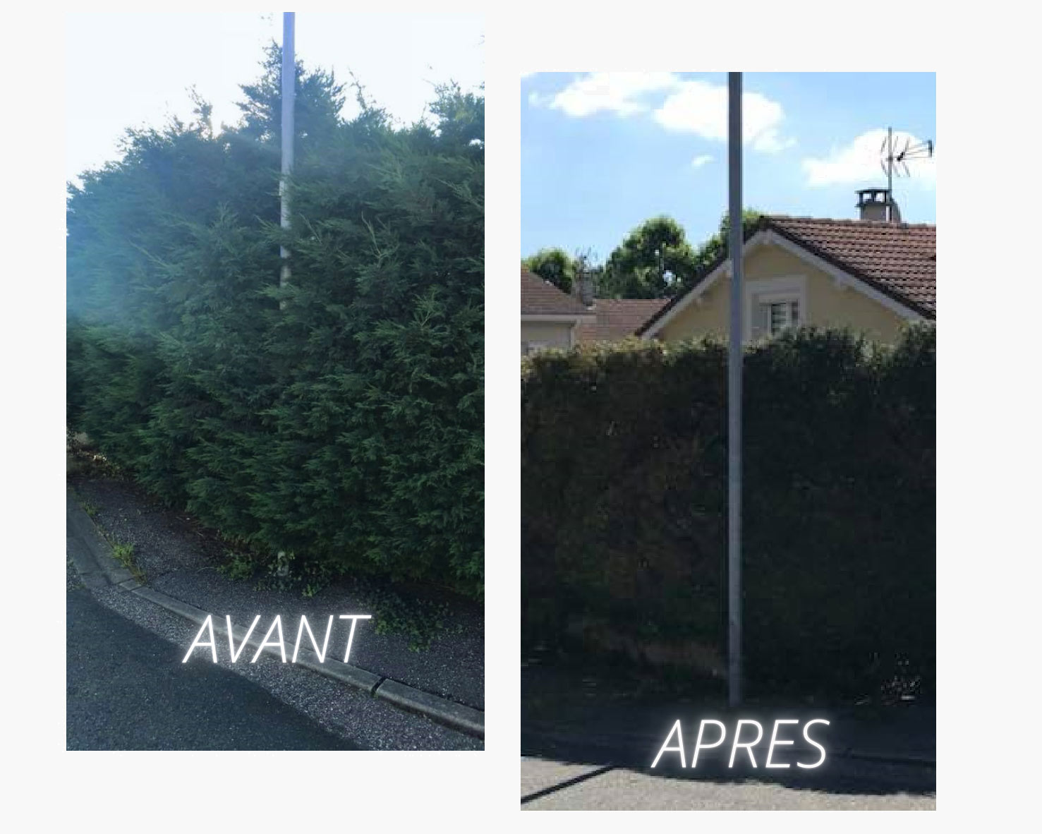 TAILLE-AVANT-APRES TAILLE-AVANT-APRES